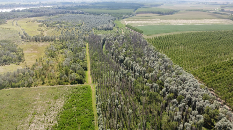 CONVEGNO: SISTEMI VERDI MULTIFUNZIONALI IN LOMBARDIA – ATTUAZIONE E RISULTATI NEL TERRITORIO MANTOVANO